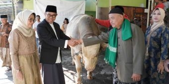 Wali Kota dan Wawali Batu Serahkan Sapi Kurban Presiden Prabowo di Masjid Nurul Hidayah Pesanggrahan