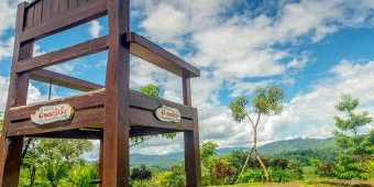 5 Tempat Wisata Alam di Jember Terbaik dan Menakjubkan