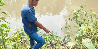 Dilaporkan Menghilang, Kakek di Sidoarjo Diduga Tewas Tenggelam