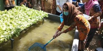 Bermanfaat Untuk Kecerdasan Otak, Ketua Forikan Jatim Kampanyekan Gemarikan di Nganjuk