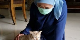 Masih Isolasi, Gubernur Khofifah Ditemani Kucing, Ramu Empon-Empon sendiri