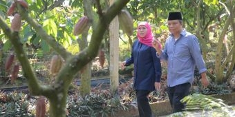 Gubernur Khofifah Kunjungi Desa Pendulum Devisa Kampung Coklat Blitar