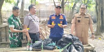 Judi Sabung Ayam dan Domino Digerebek di Belakang Rumah Kades, Pemkab Probolinggo Turun Tangan