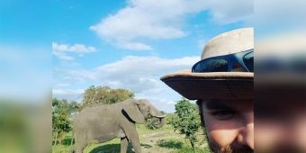 Selfie Bareng Gajah Liar, Tewas Dipelukan Pacar