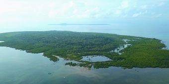 Beka Ecotourism, Konservasi Kakatua Kecil Jambul Kuning di Pulau Masakambing
