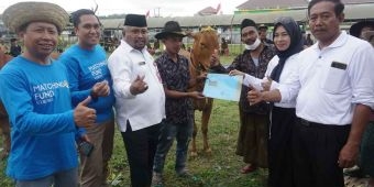 HUT ke-492 Pamekasan, DKPP Gelar Kontes Ternak Sapi Madura dan Kambing Etawa