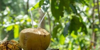 6 Manfaat Degan Ijo untuk Kesehatan, Bantu Detoksifikasi Tubuh hingga Dukung Perkembangan Janin