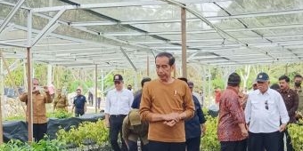 Jokowi Sebut Komitmen Indonesia Terhadap Lingkungan Dimulai dari IKN