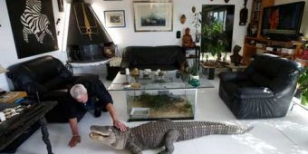 Pria Ini Hidup dengan 400 Reptil, Tidur dengan Buaya