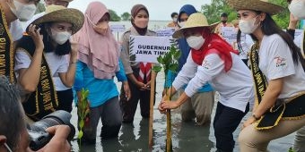 Jaga Ekosistem Mangrove, Gubernur Jatim Ajak Semua Stakeholder Nandur Mangrove