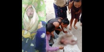 Warga Nyamplong Sumenep Temukan Bayi Perempuan Dalam Kardus di Kebun Jati