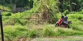 Tindaklanjuti Video Asusila Viral, Kapolsek Krian Imbau Warga Tak Sebarkan Konten Negatif