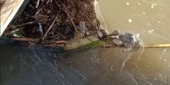 Warga Jember Temukan Mayat Orok di Sungai