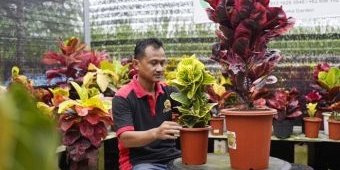 Difasilitasi Bupati Kediri, Pasar Puring Makin Berkembang hingga Mampu Saingi Varietas Thailand