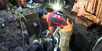 Petugas Damkar Kediri Evakuasi Sapi yang Tercebur di Septictank