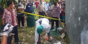 Penemuan Mayat Bayi Perempuan di Pekarangan Rumah Wonoayu Sidoarjo Gemparkan Warga