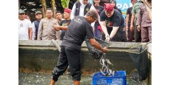 Bersama Bupati Dhito, Gubernur Khofifah Dorong Penguatan Produksi Lele