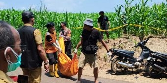 Identifikasi Jasad di Ladang Jagung, Polres Jombang Tunggu Hasil DNA