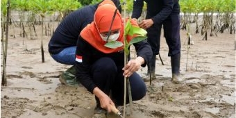 Peringati Hari Bumi, Khofifah: Tantangan Kita adalah Menjaga Bumi Tetap Sehat