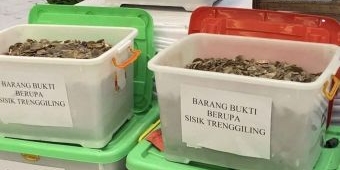 Sindikat Perdagangan Sisik Trenggiling di Surabaya Terbongkar, Transaksi Capai Rp8,4 Miliar