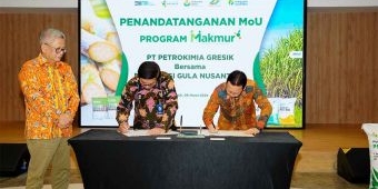 Tingkatkan Produktivitas Tebu, Petrokimia Gresik Perkuat Kerja Sama Program Makmur dengan SGN