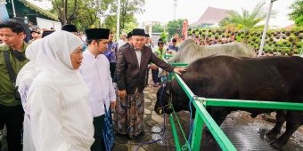 Laksanakan Sholat Idul Adha di Al Akbar, Gubernur Khofifah Serahkan Kurban dari Presiden Prabowo