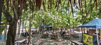 Buka Lebih Pagi, Warung Alas Kuto Jadi Tempat Sarapan Favorit di Depan Alun-Alun Sidoarjo