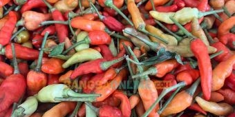 Fluktuasi Harga Sembako Lumajang 22 Ramadan 1447 H: Cabai Rawit Masih Merangkak Naik