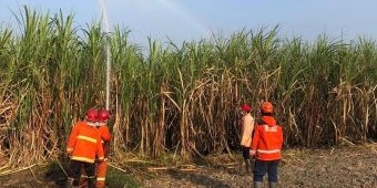 Puncak Musim Kemarau, Pemkot Kediri Antisipasi Kebakaran Lahan