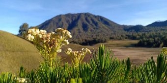 Berikut 5 Gunung dengan Pemandangan Terbaik di Jawa Timur, Referensi untuk Libur Lebaran