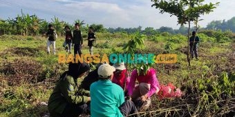 Kurangi Dampak Pemanasan Global, Masyarakat Sukoharjo Bojonegoro Tanam Pohon