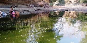 Dampak Kekeringan, Warga Sampang Mandi di Kubangan
