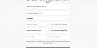 Cara Cek BSU Lewat Website BPJS Ketenagakerjaan