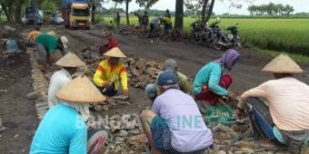 Dibangun Makadam, Pemprov Mulai Perbaiki Kerusakan Jalan Provinsi di Nganjuk