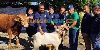 BPBD Jatim Kurban 4 Ekor Sapi dan 7 Ekor Kambing di Iduladha 1445 H