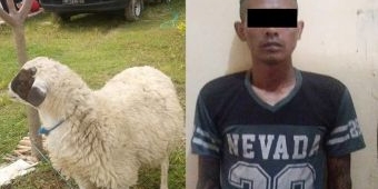 Curi Kambing di Bojonegoro, Warga Magetan 'Dikeroyok' Polisi