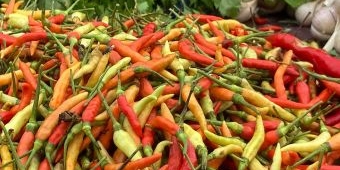 Harga Sembako Jatim Senin 14 April 2025, Cabai Rawit Merah Turun Rp71.771/kg