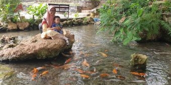 Wagos Ujungpangkah Gresik, Suguhkan Hamparan Taman Bunga dengan Panorama Bukit Kapur