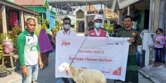 'JIIPE Peduli' Distribusikan CSR 3 Sapi dan 18 Kambing untuk Masyarakat Sekitar Kawasan