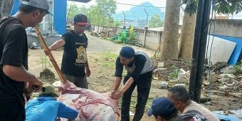 Polres Batu Distribusikan 39 Hewan Kurban di Idul Adha 2026