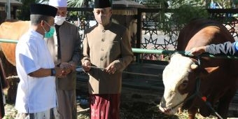 Wakil Wali Kota Serahkan Hewan Kurban di Masjid Agung An-Nuur