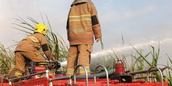 Damkar Kabupaten Kediri Padamkan Kebakaran  Lahan Tebu di Kandat, Kerugian Ditaksir Belasan Juta