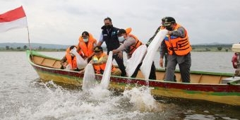 Wujudkan Perikanan Tangguh Lamongan 2021, Bupati Fadeli Tebar 90 Ribu Benih Ikan di Waduk Prijetan