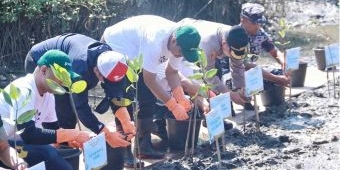 Pemerintah Kota Pasuruan Kembangkan Potensi Wisata Pesisir Melalui Program Tanam Mangrove