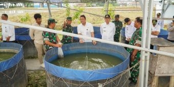Dukung Swasembada Pangan Nasional, Pemkab Lamongan Kembangkan Kampung Pandu Sakti