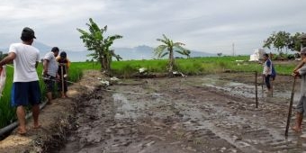 Sikapi Perumahan Bodong di Mojokerto, Pol PP Mendadak Lembut