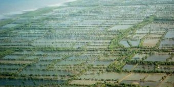 Lahan di Tepi Pamurbaya Marak Diperjualbelikan, Dewan Minta Batas Tegas Konservasi