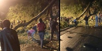 Jalur Prigen Depan Kakek Bodo Longsor