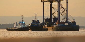 Arus Peti Kemas TTL Naik 6,5 Persen, TPK Lamong Catat Lonjakan Internasional