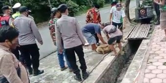 Sekdes di Blitar yang Gelapkan Iuran Pajak Ditahan, Warga Syukuran Sembelih Kambing